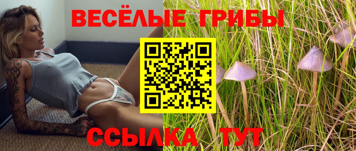 Донской  Галлюциногенные грибы GOLDEN TEACHER  Вход с VPN 