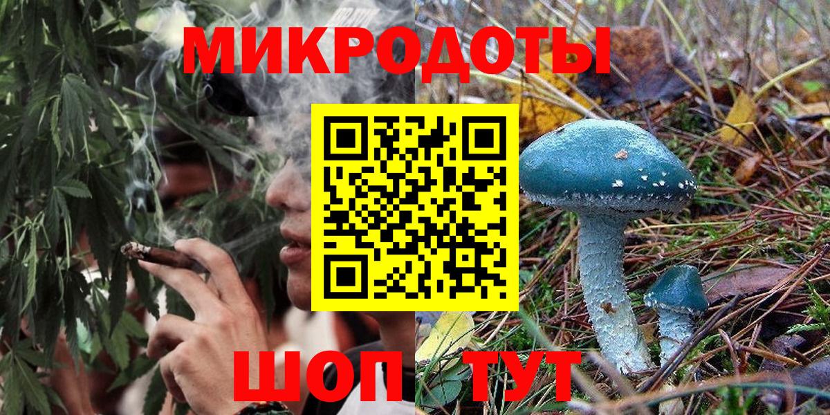 Псилоцибиновые грибы Psilocybine cubensis Донской